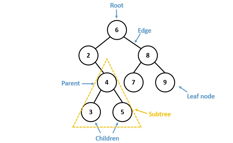 Intro to Tree Data Structure